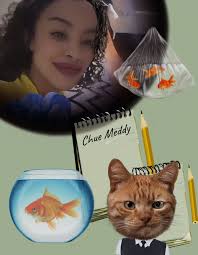 I've been playing this game for like 2 years and I only now just found out  the seasonal aquariums! Can someone tell me what they are/do? Thank you 🙂