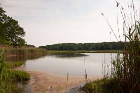 Reviews of rocky neck state park 1 person has reviewed this location. Rocky Neck State Park Campground Rocky Neck Ct 4 Photos