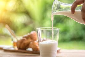 La leche, el alimento que brinda la mejor absorción de calcio al ...
