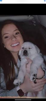 Persinger's English Labs