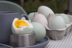 Maybe you would like to learn more about one of these? 12 Manfaat Telur Bebek Yang Tidak Diketahui Banyak Orang Tapi Awas Ada Efek Sampingnya Juga Semua Halaman Grid Health