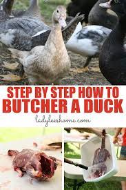 How To Butcher A Duck - A Step-by-step Picture Tutorial - Lady Lees Home
