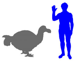Pin By Michael Hartley On Worlds Biggest Animals Big Animals Big Bird Beautiful Birds