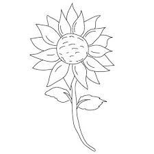 It is always pleasing to see and smell them. Simple Flower Garden Flower Drawing Easy For Kids
