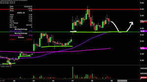 advaxis inc adxs stock chart technical analysis for 10 08 2019