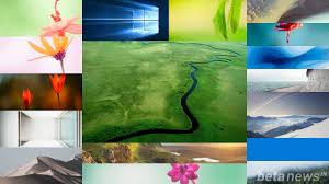 All of the windows wallpapers bellow have a minimum hd resolution (or 1920x1080 for the tech guys) and are easily downloadable by clicking the image and saving it. Windows 10 Wallpaper Pack Zip