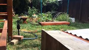 Kannst du katzen aus dem garten halten? Katzenschreck Test Vergleich Beste Katzenabwehr 2020