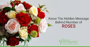 21.09.2017 · flowers that represent friendship chrysanthemum. Know The Hidden Message Behind Number Of Roses Ferns N Petals Singapore
