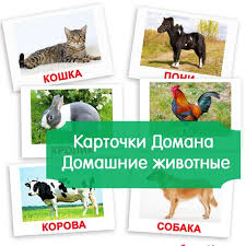 татьяна стробыкина игры и упражнения для самых маленьких скачать Kartinki Domashnie Zhivotnye Dlya Detej Kartochki Domana Kartinki Domashnih Zhivotnyh Domashnee Zhivotnoe Razvivayushie Uprazhneniya