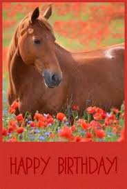 Horse Happy Birthday Memes