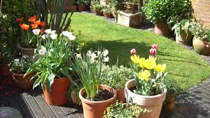 Sélectionnez vos pots à plantes, bac et jardinières ou trouvez le magasin le plus proche. Planter Des Bulbes En Pot Avec Les Enfants