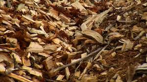 Tree service near me free wood chips. What Is Wood Chip Gardening Back To Eden Gardening Documentary