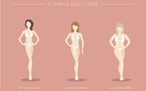 body type