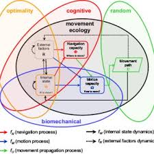 Whenever something crosses in front of the sensor, it physically blocks the signal that the sensor is emitting, letting the lights know that there is movement and that it is time for them to turn. Pdf A Movement Ecology Paradigm For Unifying Organismal Movement Research