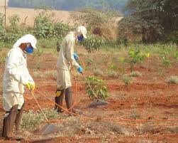 However, we managed to discover that the most significant portion of the traffic comes from brazil (95,5. Laspef Laboratorio De Silvicultura E Pesquisas Florestais