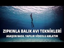Agason Nasil Yapilir Zipkinla Balik Avi Teknikleri Spearfishingturkey Check More At Https Akvaryumbilgi Net Agason Nasil Yapilir Zipki Balik Teknik Atlar