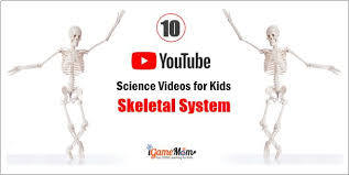 In this activity, children will let their imagination run wild as they design and build a new planet in the solar system. 10 Youtube Science Videos Teaching Skeletal Systems
