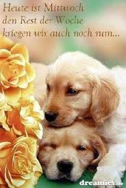 Schonen Mittwoch Spruche 133 Gbpicsbilder Com
