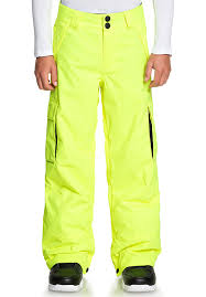 Dc Banshee Snowboard Pants For Kids Boys Yellow Planet