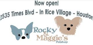 We did not find results for: Rocky And Maggie S Pet Shop Pet Shop Pet Boutique Pets