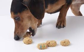 What Are The Best Treats For Dogs With No Teeth Best Treats For Dogs Soft Dog Treats Dog Treats