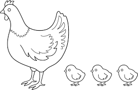 Black And White Hen Clipart Hen And Chicks Coloring Page Free Clip Art Hens And Chicks Coloring Pages Free Coloring Pages
