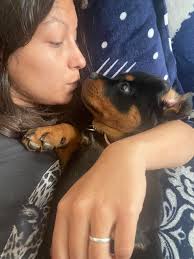 I just read something about Goldens and resource guarding. I've never heard  of it and it's making me think I definitely need to read up