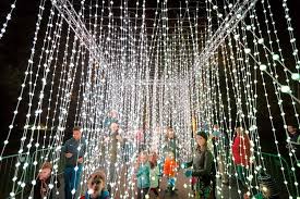 Best Bets Illumination Returns To Morton Arboretum Botanic Garden Debuts Lightscape In 2020 Botanical Gardens Arboretum Morton Arboretum