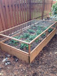 My Husband Made This Strawberry Cage For Me That Opens Like A Lid Diy Garden Projects Vegetable Garden For Beginners Vegetable Garden Design