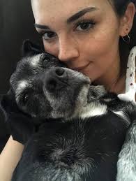 Missing dog Buggy in Hastings, New Zealand, Parkvale area