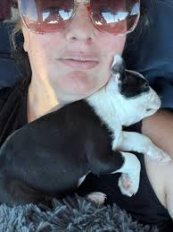 Sunday mornings... ิแพพช Tia