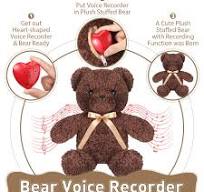 Amazon.com: 2 Pcs Bear Stuffed Animals with Voice Recorder Set, 60 Seconds Voice Sound Recorder Module 16 Inch Soft Plush Bear Cute Stuffed Bear with ...