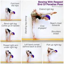 Laura Large Yoga On Instagram Bowing With Respect Bird Of Paradise Pose For A Video Tutorial On How To Get Into This Variation Please Check Out My Youtub