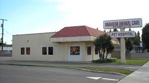 Anaheim animal care & pet hospital. Anaheim Animal Care Pet Hospital Home Facebook
