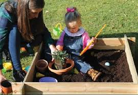 How to create a mini garden. How To Create A Mini Garden For Children To Play In Gardening On