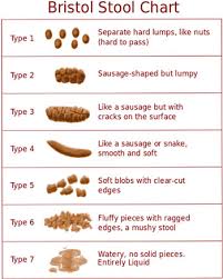 Ibs Food And Symptom Diary Ibs Diets