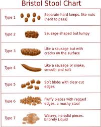 Ibs Food And Symptom Diary Ibs Diets