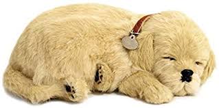 Perfect petzzz orange tabby cat breathing sleeping kitten soft realistic. Original Petzzz Golden Retriever Realistic Lifelike Stuffed Interactive Pet Toy Companion Pet Dog With 100 Handcrafted Synthetic Fur Perfect Petzzz Animals Amazon Canada