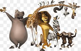 Alex (ben stiller) and the gang find their true home in the african sahara.buy the movie: Moto Moto Madagascar Hippo Freundin Youtube Melman Sacha Baron Cohen Charakter David Schwimmer Freundin Png Pngwing