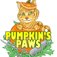 Littlest pet shop not every star is in the sky hd (english) pitch purrfect. Pumpkin S Paws Home Facebook