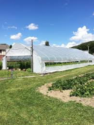 High Tunnels in Urban Agriculture