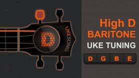 Ut enim ad minim veniam, quis nostrud exercitation ullamco off a laboris nisi ut aliquip ex ea commodo consequat. Half Step Down Ukulele Tuning Video Guide Ukesong Com