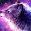 We handpicked 1,000 of the best cute wallpapers, free to download! Https Encrypted Tbn0 Gstatic Com Images Q Tbn And9gcq1xwyqzkv Zucojvgvnfalfmwmkiifowlthbxgzldruo90w0bj Usqp Cau