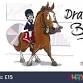 Draw with Birdie event image