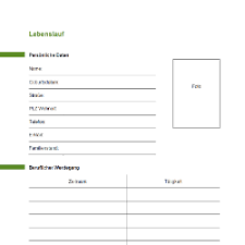 Hier können sie eine blutdrucktabelle in drei versionen downloaden, ausfüllen und ausdrucken. Lebenslauf Vordruck Zum Downloaden Und Ausfullen