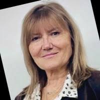 20+ perfiles de «Mesaros»