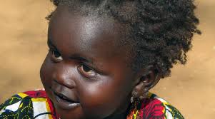 Firewood becomes central to student research in Ethiopia