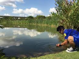 The house numbers of the public apartment blocks in anchorvale begin with the number '3' (3xx). Sengkang Riverside Park Singapore 2021 All You Need To Know Before You Go With Photos Singapore Singapore Tripadvisor