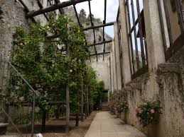 Um das zu verhindern, mischen sie zu etwa gleichen teilen kompost, torf und gartenerde: Den Zitronenbaum Uberwintern Im Wohnzimmer So Kann Es Funktionieren