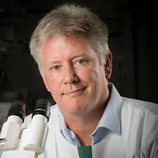 The 20 Best Breast Cancer Doctors near Kelvin Grove, QLD